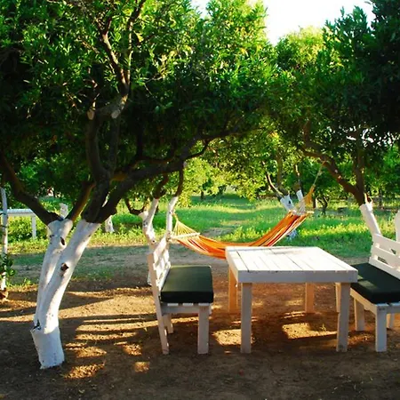 Campsite Bodrum Ecofarm