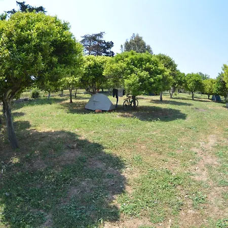 Bodrum Ecofarm 캠프장 *