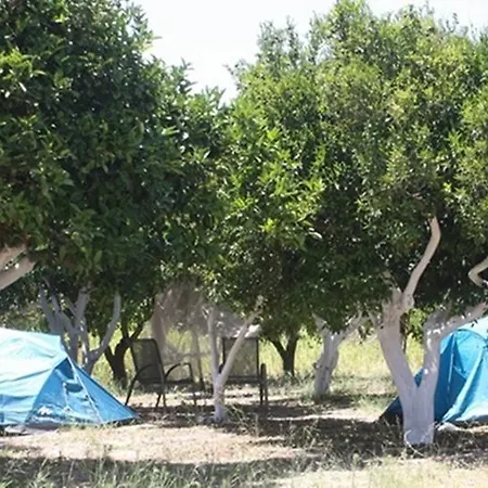 Bodrum Ecofarm * 터그트레이스