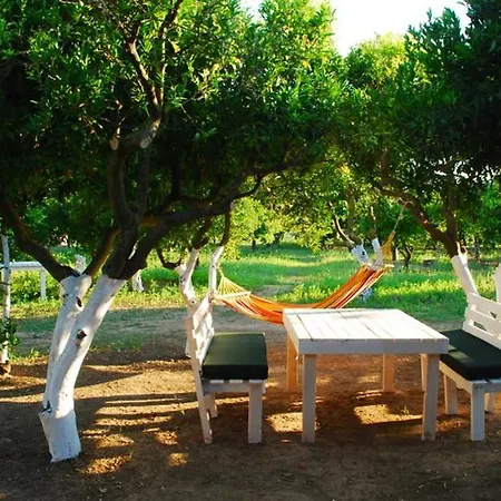 Bodrum Ecofarm Campsite *